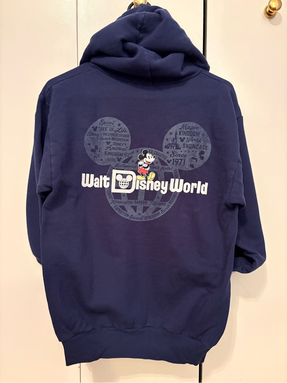 Walt Disney World Long Sleeve Hoodie